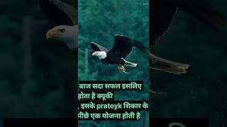 eagle quotes |eagle motivational video#attitude #shorts