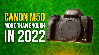 Canon M50 - STILL The Best Budget Camera?