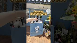 【新オープン‼️】スヌーピーズサーフショップ鎌倉が最高すぎた✨