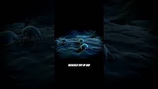 water bear -alien??? #waterbear#tardigrade#animalfacts#space