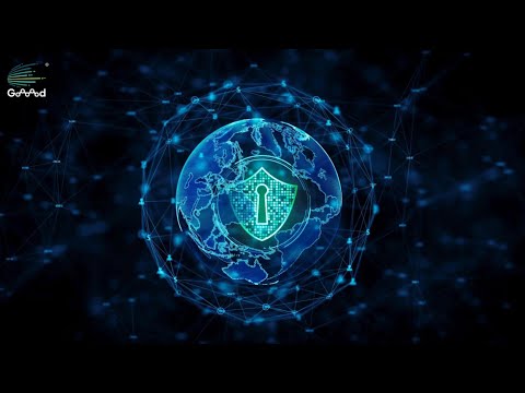 网络安全工具对比：高防IP与CDN技术分析