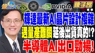 【精華】FT：輝達最新AI晶片設計複雜遇量產難關 延後出貨真的！？ 半導體AI出口勁揚！ 亞銀大幅上修台GDP 韓出口再創佳績！？ #陳子昂 @tvbsmoney  20240809