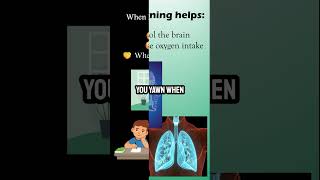The Hidden Science of Yawning | The Particle Perspective #shorts
