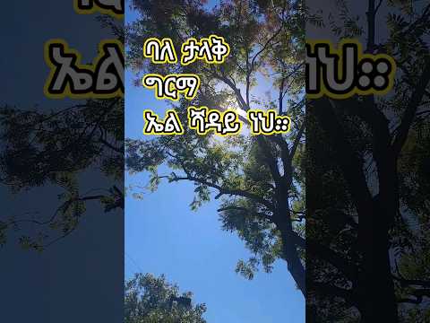 የሃያላን ሁሉ ሃያል ነህ:: mezmur በፓስተር/ዘማሪ ተስፋዬ ጋቢሶ #youtube #mezmur #shortsfeed #shortvideo #ethiopia