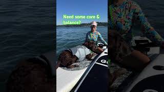 Try inviting your #chocolatelab on your #standuppaddleboard 😂 #fittips #coreworkout #balance #dogs