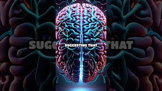 Exploring the Mirror Neuron System