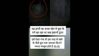 sed shayri status #shorts#status #vairal #trending #sed shayri short video #whatsapp_status#shaayri