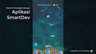 Konfigurasi dan Akses Smartdev 4 Channel WiFi Relay