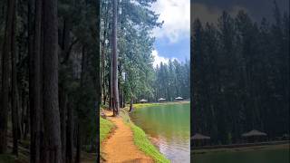 Peaceful Nature Walk at Sembuwatta Lake 🍃 | Hidden Gem in Sri Lanka 🇱🇰