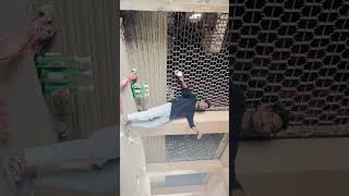 ek niranjan #prabhas #darling #dance #film #ekniranjan #song