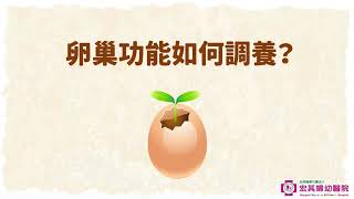 【開孕】正在備孕嗎？為什麼要補充肌醇、補充葉酸？備孕飲食小常識｜宏其國際生殖醫學中心