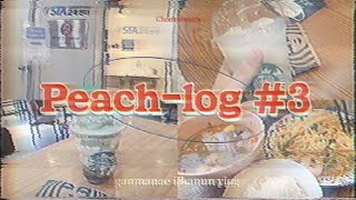 [피치] STEN 교육 VLOG - ISTQB 자격증 준비 | 선릉역 식당 뿌시기 | 스타벅스 신메뉴 | 강남역 파파야리프 |