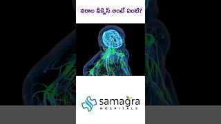 Nerve Weakness vs Low Stamina – What’s the Difference? | Dr Neeraja Explains | Neuro | Guntur