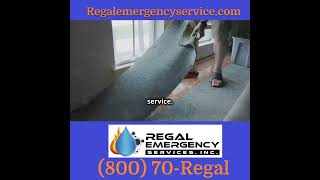 #FloodDamage #FireDamage #Mold #SFV #LACounty #VenturaCounty #SCV