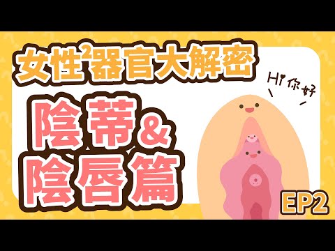 陰蒂陰莖其實很像 ? 陰唇會一直改變？女性性器官大解密【【U聊性教育 EP2】
