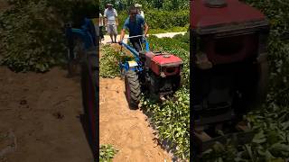 Amazing Farming Machine in Action 🚜💥 | JUST KD Agriculture | Part 301