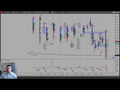 Market Profile Evening Review: 8/14/17