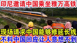 印尼邀请中国乘坐雅万高铁，现场请求中国能够修延长线，不料中国回应让人意想不到
