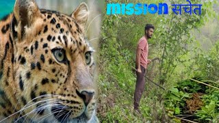 तेंदुए का हमला ।। leopard and bear in villages of pauri, uttrakhand।। mission सचेत/mini soldier