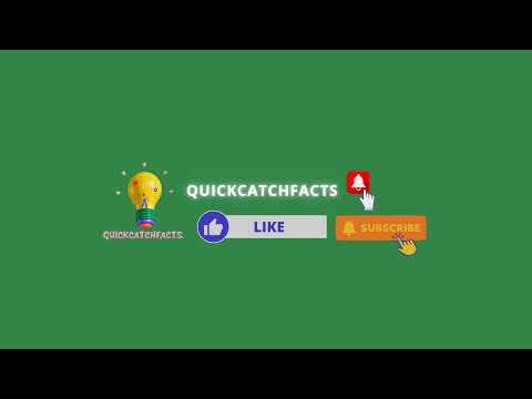 Live streaming di QuickCatchFacts
