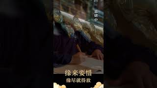 缘来要惜，缘尽就得放