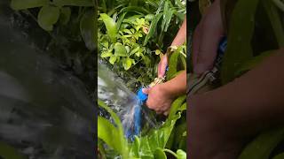Adult Pipe Building Blocks!Smart Garden DIY,Thru phone controlling to On,Off,Timing,Cycle
