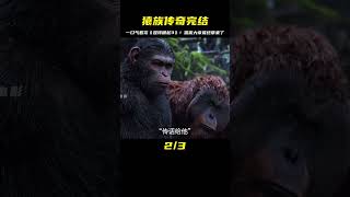 猿族傳奇落幕！《猩球崛起3》凱撒大帝最終章，結束了千年之霸！ #漫威 #電影解說 #復仇者聯盟 #超級英雄 #漫威電影