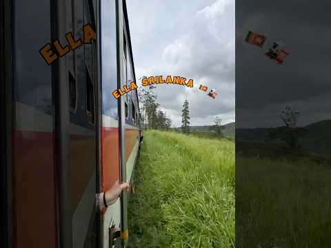 The most beautiful train ride 🚂🇱🇰 Ella Odyssey Srilanka  #music #slvlogs #srilankatravel #ella