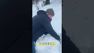 如何將小雪球滾成大雪崩  #知識 #科普 #搞笑 #冷知識 #animals #學習 #旅行
