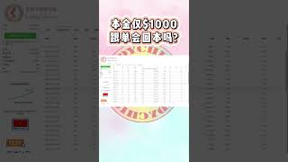 跟單本金$1000， 投資回報率高達20%！ #mql5 #forexsignal