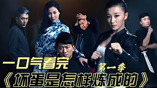 一口气看完爆火黑道爽文网剧《坏蛋是怎样炼成的》第一季 #大陆剧 #大陆电视剧 #中国电视剧 #电视剧 #影视解说