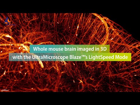 Whole mouse brain imaged in 3D with the UltraMicroscope Blaze™’s LightSpeed Mode