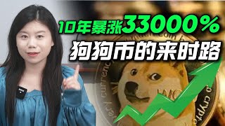 1只柴犬如何席卷加密世界？狗狗币从玩笑到现象级加密货币的来时路 #dogecoin #马斯克 #memecoin