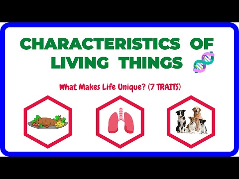 7 CHARACTERISTICS of Living Things