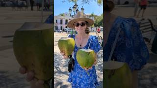 A day in the Dominican Republic for under $50