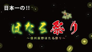 Discover the Magic of Tatsuno – Japan’s Firefly Capital