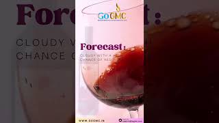 Castillo de Santiago Red Dry Wine | Go GMC | Uttarakhand