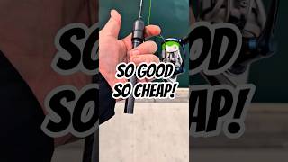 🔥 SUPER Ultralight BFS Fishing Rod you must try!