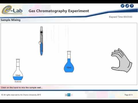 Gas Chromatography Experiment Overview (www.elab.edu.eg)