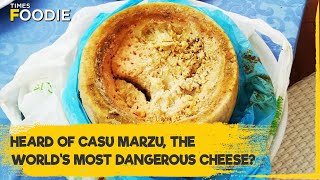Casu Marzu: Italy's Unique Cheese with Live Maggots Inside