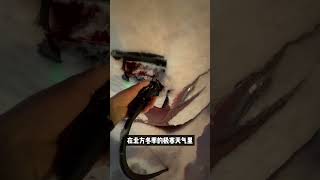 蔚来的换电技术竟是特斯拉10年前淘汰的？