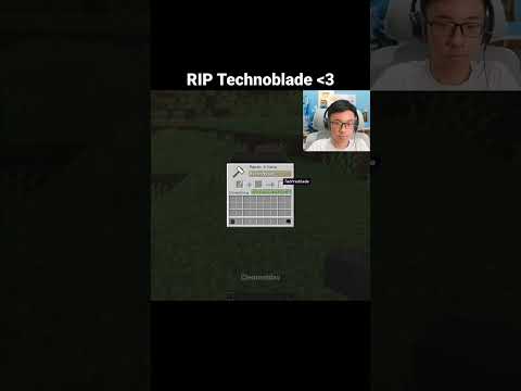Minecraft Technoblade Moment