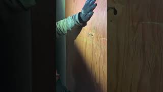 400 dollars hammer 🔨🤯 #construction #carpenter #foryou #canada #titanio #bosshammer