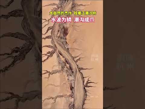 钱塘江出现潮汐巨龙