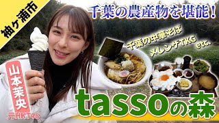 【tassoの森】山本茉央が千葉グルメを堪能！