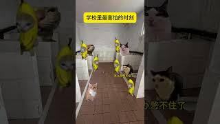 学校里最害怕的时刻#猫meme小剧场  #猫meme  #学校日常 #上厕所
