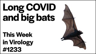 TWiV 1233: Long COVID and big bats