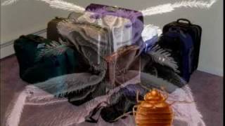DC DOH Bed Bugs