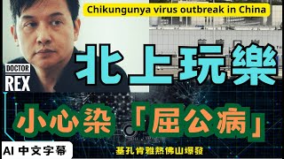 佛山爆發基孔肯亞熱: 極易傳染？後果嚴重？如何自保？Protect yourselves against China's chikungunya fever outbreak