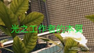 光之工作者的本質